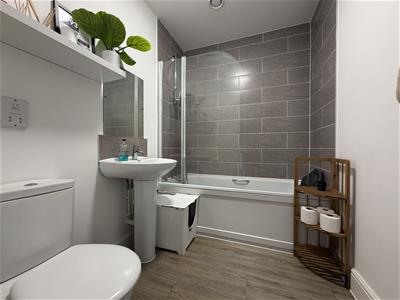 Picture 11